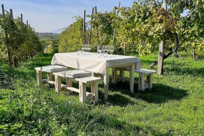 2 Guests Private Prosecco Road Tour All Inclusive from Venice - Stop 1: Conegliano Castle Views and a Winery Cellar Walk