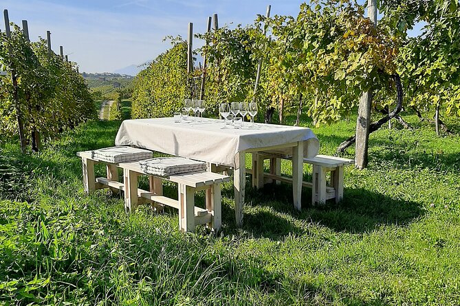 2 Guests Private Prosecco Road Tour All Inclusive from Venice - Stop 1: Conegliano Castle Views and a Winery Cellar Walk