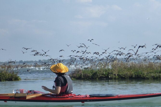 2 Hour Night Kayak Tour in Venice, premium experience with sunset - Why night kayaking changes the Venice experience