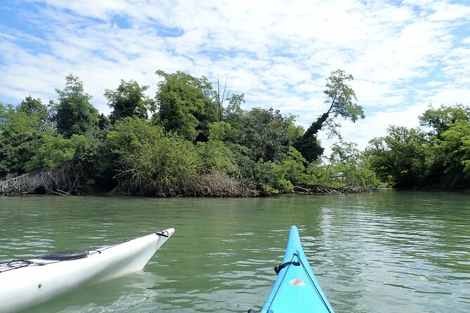 2 Hour Night Kayak Tour in Venice, premium experience with sunset - The Venice canal section: views that feel like you’re moving with the city