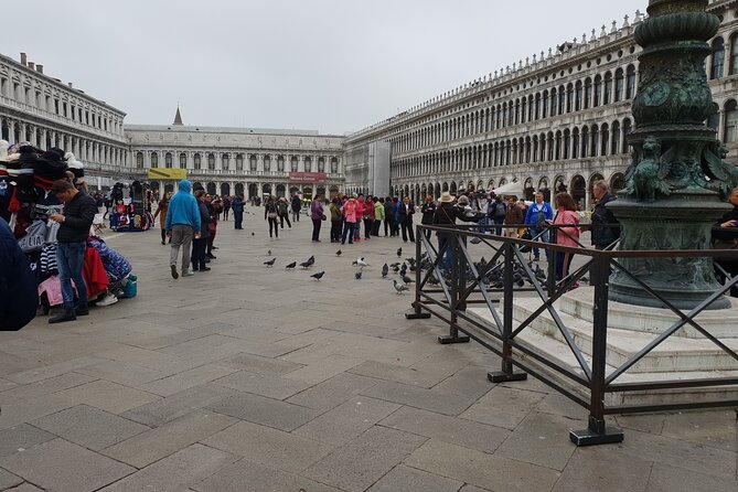 3-hour Best of Venice Highlights Private Walking Tour - What the art historian actually adds (beyond facts)