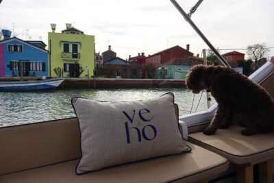 6-hour tour of Murano, Burano and Torcello by private boat - Burano: Colorful houses, lace-making, and the leaning bell tower