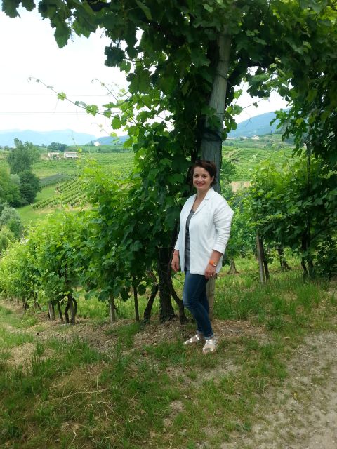 8-Hour Prosecco Wine and Tastings Tour from Venice or Padua - Why This Prosecco DOCG Day Trip Works So Well