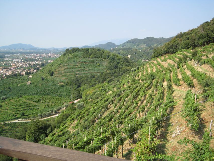 8-Hour Prosecco Wine and Tastings Tour from Venice or Padua - From Venice or Padua to Valdobbiadene, Conegliano, and Vittorio Veneto