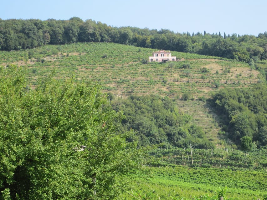 8-Hour Prosecco Wine and Tastings Tour from Venice or Padua - Price and Value: What You’re Paying For at $513.80 per Person