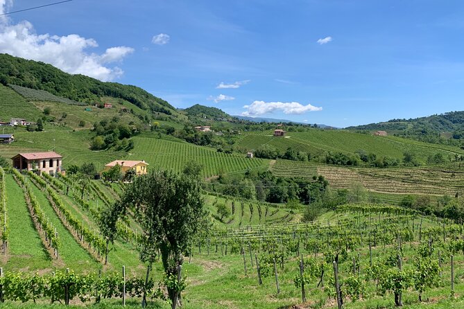 A Sparkling Day in the Prosecco Hills from Venice - Stop 1: Valdobbiadene winery tastings and what you’ll learn