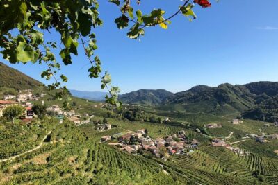 A Sparkling Day in the Prosecco Hills from Venice - Price and value: is $228.56 a good deal for Prosecco?