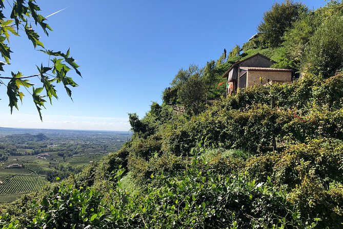 A Sparkling Day in the Prosecco Hills from Venice - The guides make it (especially Carlo, Giulia, and Sebastian)