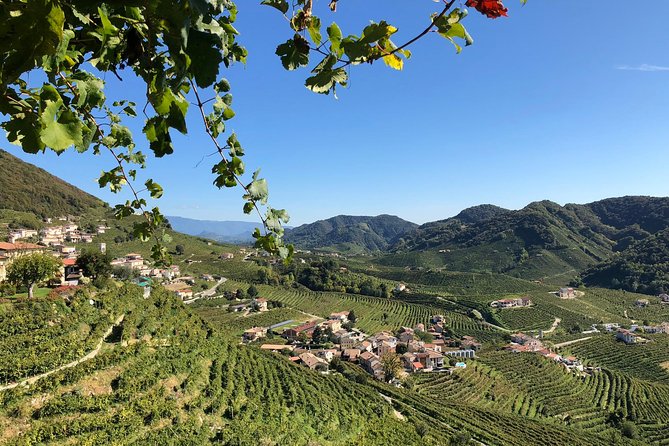 A Sparkling Day in the Prosecco Hills from Venice - Price and value: is $228.56 a good deal for Prosecco?