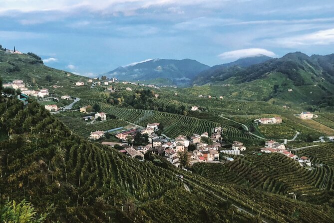 Adventure in the Prosecco Hills by Yellowboot - Price and value: is $167.21 per person a fair deal?