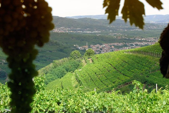 Amarone & Soave Wine Tour with Sommelier – Visit Verona - Key things that make this tour worth your time