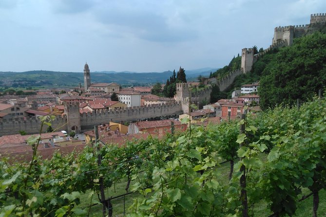 Amarone & Soave Wine Tour with Sommelier – Visit Verona - Stop in Verona: Fast Highlights and How to Enjoy Them