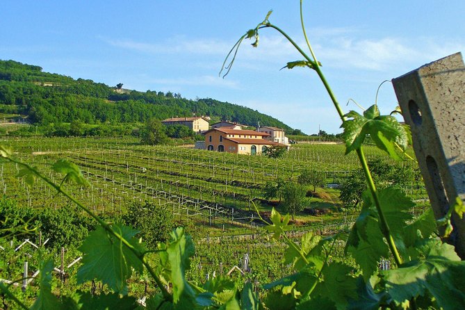 Amarone & Soave Wine Tour with Sommelier – Visit Verona - Price and Value for $280: What You’re Actually Paying For