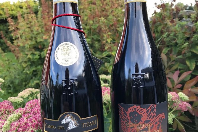 Amarone-Valpolicella tour. Visit Verona. From Venice - Verona walking tour: historic center time with a real guide