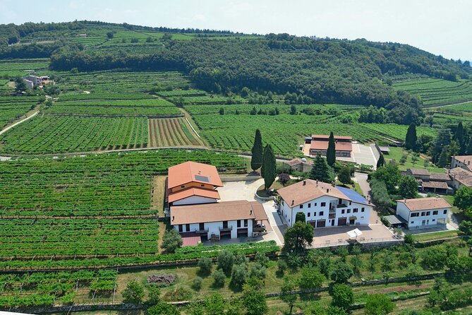 Amarone-Valpolicella tour. Visit Verona. From Venice - The wine tasting flight: Classico, Ripasso, Amarone, Recioto