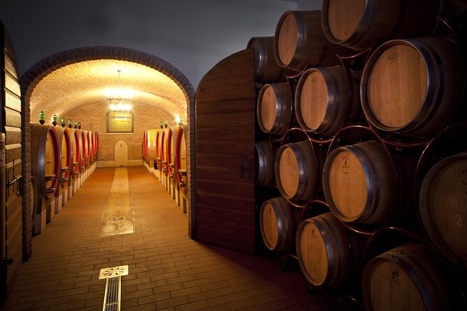 Amarone-Valpolicella tour. Visit Verona. From Venice - Food pairing at lunch: cheese and salami with the right timing