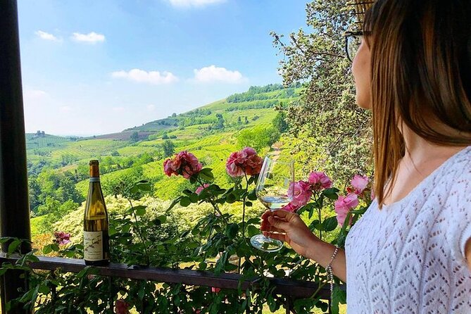 Amarone-Valpolicella tour. Visit Verona. From Venice - Price and time: is $240 per person good value?