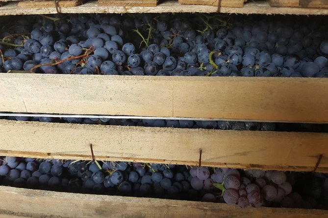 Amarone Wine Tour (all-inclusive full day with lunch and expert wine guide) - How the Trattoria Alla Porchetta Lunch Break Works
