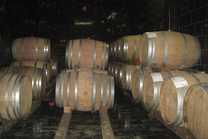 Amarone Wine Tour (all-inclusive full day with lunch and expert wine guide) - Who This Tour Fits Best