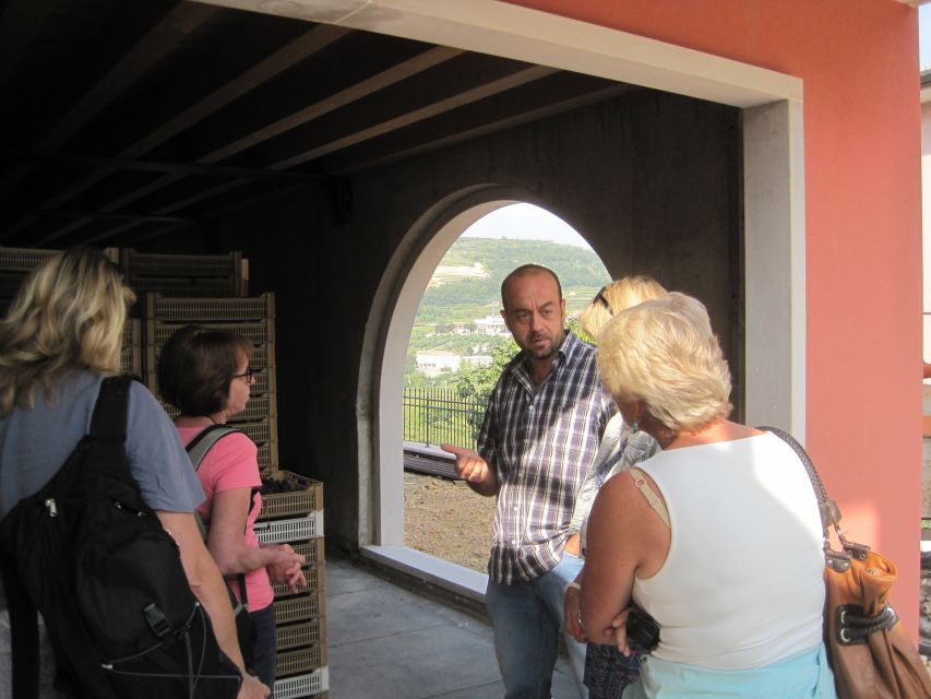 Amarone Wine Tour & Tasting from Venice, Padua or Verona - What to expect about purchasing wine (and the social reality)
