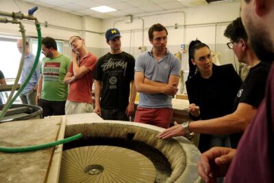 Arte Di Murano: Glass Factory Tour - Getting There Without a Water Taxi (And Why It Matters)