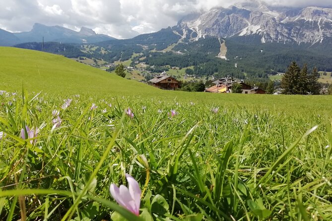 Discover the Dolomites, Cortina and Lake Braies from Venice - Lake Braies: your 2-hour main event (walk it, boat it, or just sit)