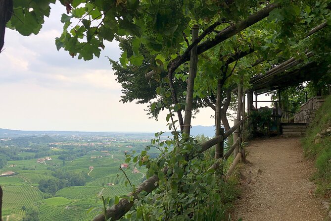 Food and Wine Tour on the Prosecco Hills from Venice - Vittorio Veneto and the Final Stretch Back