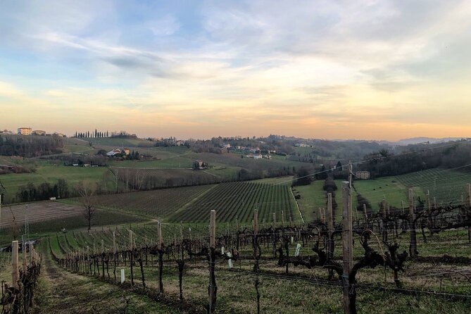 Food and Wine Tour on the Prosecco Hills from Venice - Piazzale Roma and First Views: Warming Up Before the DOCG Stops