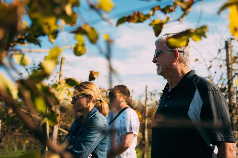 From Venice: Prosecco Hills and Wine Tasting Tour - FAQ