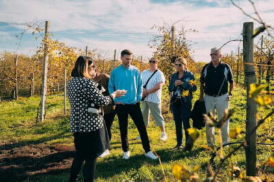 From Venice: Prosecco Hills and Wine Tasting Tour - Valdobbiadene winery stop: vineyard walks and a light lunch