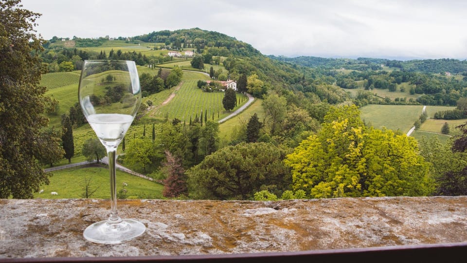 From Venice: Wine and Food tour in the Prosecco Hills - Prosecco Hills, but make it real: DOCG with context