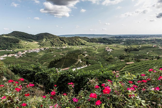Full day Private Prosecco Tour, with certified Sommelier - Tastings With a Certified Sommelier: More Than Just Drinking