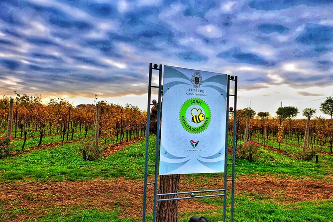 Full day Private Prosecco Tour, with certified Sommelier - Timing and Pacing: A Full Day That Moves, Not Lingers