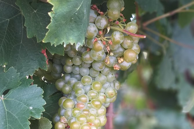 Full day Private Prosecco Tour, with certified Sommelier - Who This Prosecco Tour Fits Best (And Who Should Think Twice)