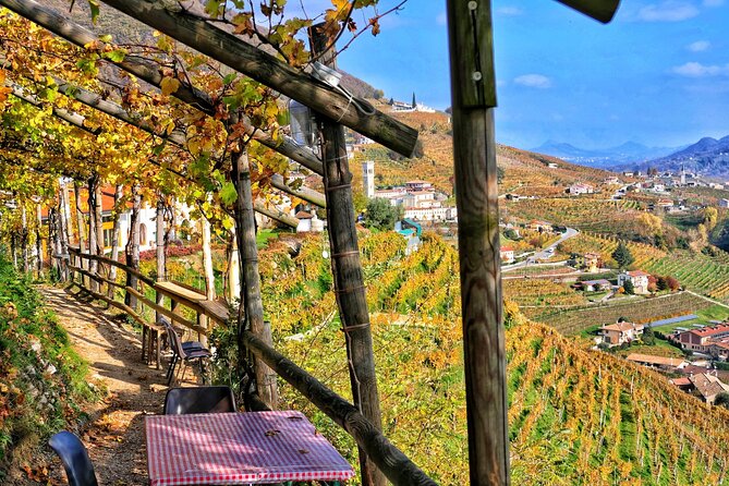 Full day Private Prosecco Tour, with certified Sommelier - Cellar Visits in Valdobbiadene DOCG: Where the Day Becomes Real