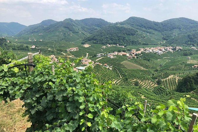 Full Day Prosecco and Cheese Tasting from Venice - Leaving Piazzale Roma: the start of your Prosecco day