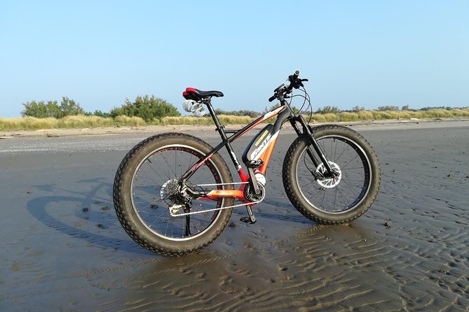 Full Day Venice E-Bike Rental - Key highlights before you ride