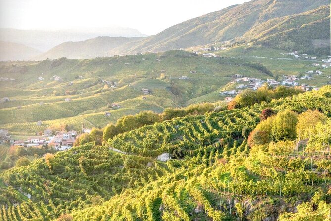 Full Day Wine Tour and Tasting in the Prosecco Region - L’Osteria Senz’Oste terrace stop: quick views, free admission, and a break from the van