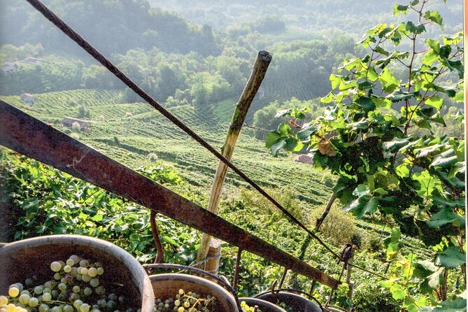 Full Day Wine Tour and Tasting in the Prosecco Region - Winery #2 in the hills: generational passion and a second round of tastings