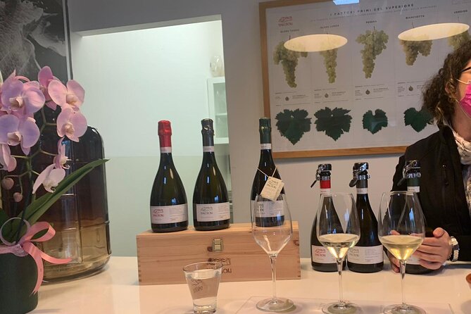 Full Day Wine Tour and Tasting in the Prosecco Region - Cost and value: what you pay for, what may cost extra, and how to avoid surprises
