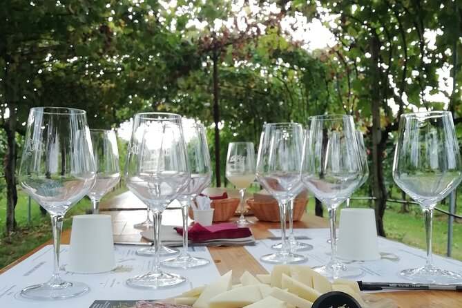 Full Day Wine Tour and Tasting in the Prosecco Region - Getting out of Venice: Piazzale Roma, air-conditioned comfort, and real timing