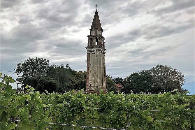Island Hopping Tour: Mazzorbo, Burano and Murano - Mazzorbo gardens and Tenuta Venissa’s Dorona grape