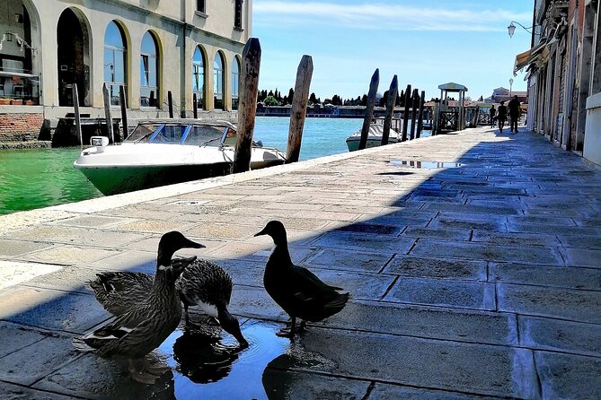 Island Hopping Tour: Mazzorbo, Burano and Murano - Meeting in Venice: Campo dei Gesuiti and Fondamente Nove