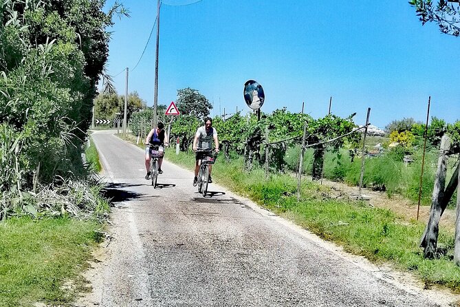 Lio Piccolo: Flamingos & Birdwatching Bike Tour in the Lagoon - Price and value: what you’re paying for