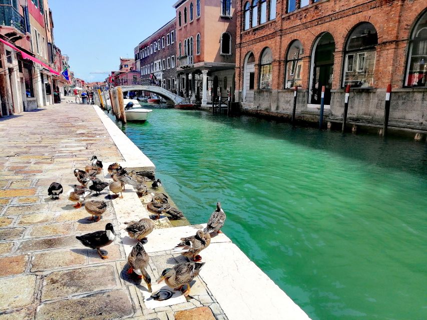 Murano: Glass Lampwork Workshop and Walking Tour - Should you book this Murano glass workshop and walking tour?
