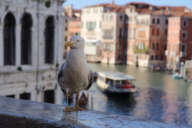 Photography workshop in the magical Venice (3h) - Andrea Zavagnin’s Method: Questions First, Then Real Coaching