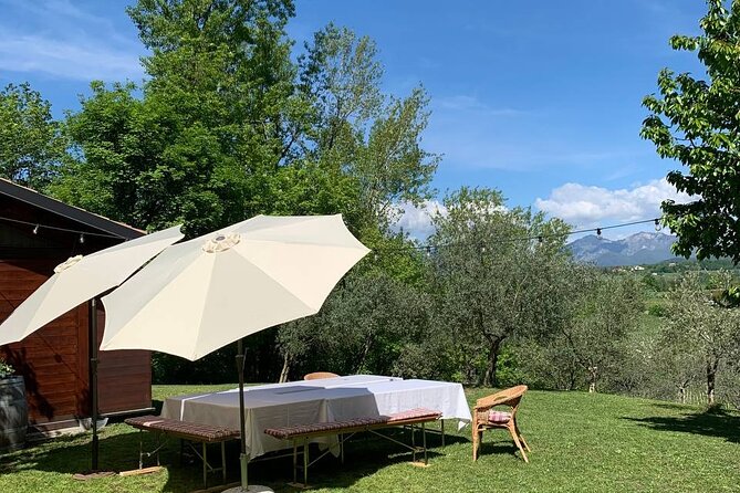Premium Private Prosecco Hills Tour - 2 Wineries. Private tour. - Lunch in the hills around Collalbrigo: a real meal with time to breathe
