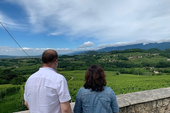 Premium Private Prosecco Hills Tour - 2 Wineries. Private tour. - How the 7 hours actually feel: pacing, traffic, and a private comfort bubble