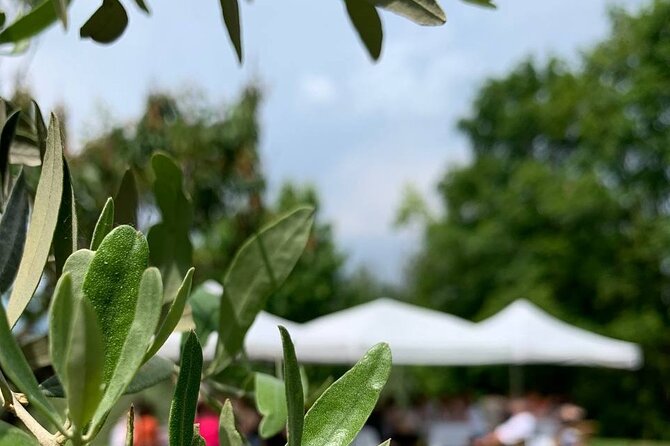 Premium Private Prosecco Hills Tour - 2 Wineries. Private tour. - Getting started at 9:00 am in Piazzale Roma: the road part you shouldn’t ignore