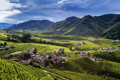 Premium Prosecco Hills Winery Tour with Prosecco Tastings & Food - Conegliano winery time with the owner and 4 DOCG pours